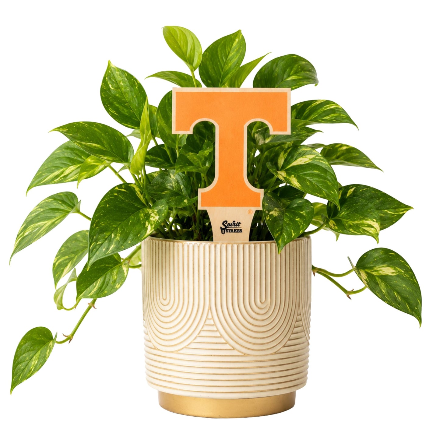 Tennessee Power T Color Plant Stake