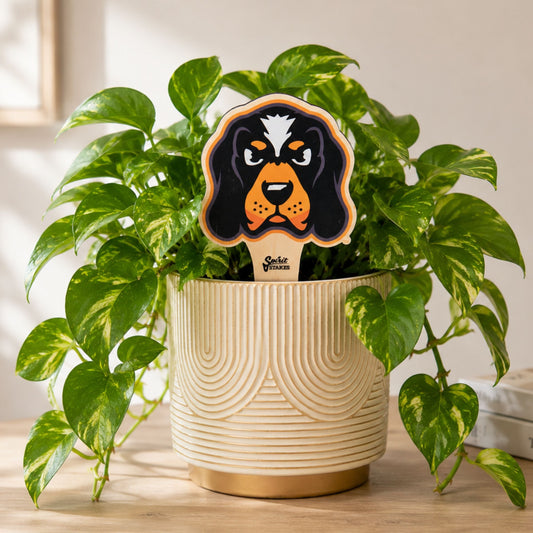 Tennessee Smokey Color Plant Stake