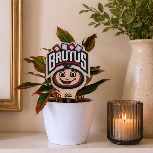 The Ohio State University Baby Brutus Color Plant Stake