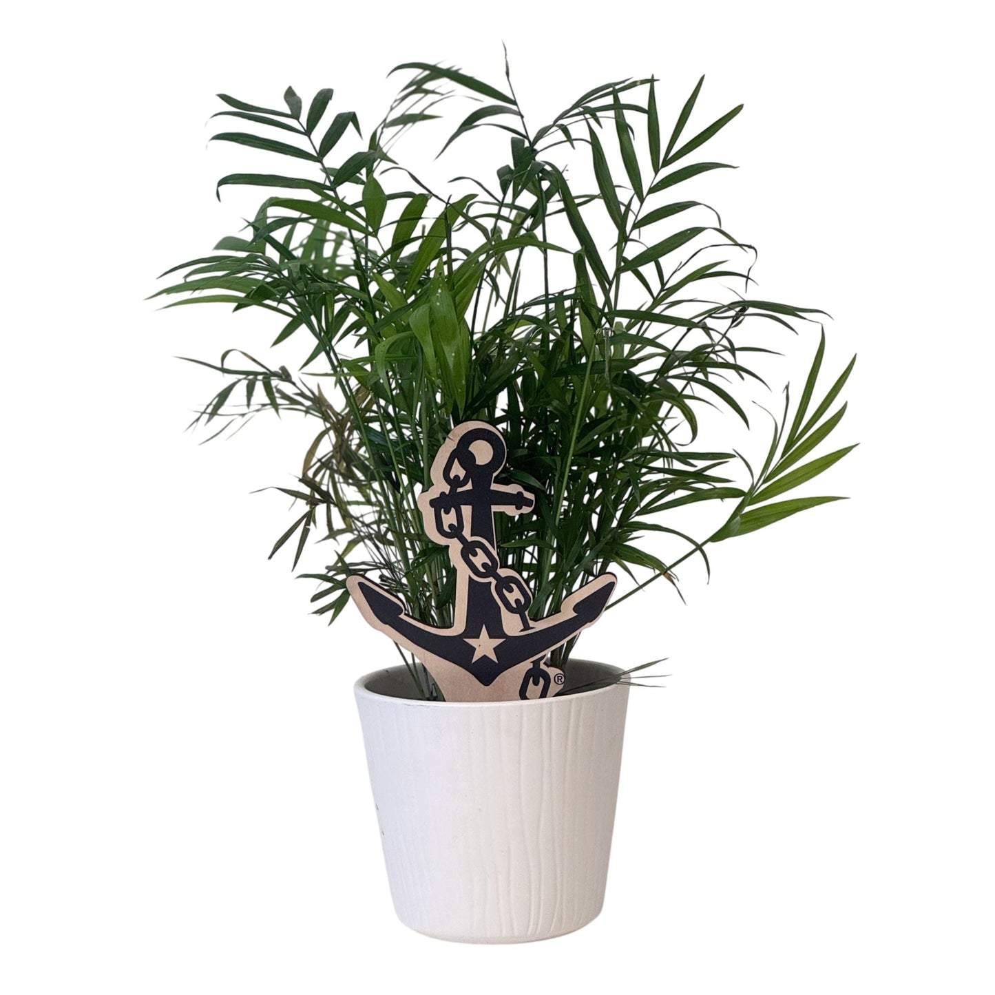 Vanderbilt University Anchor Down Color Plant Stake