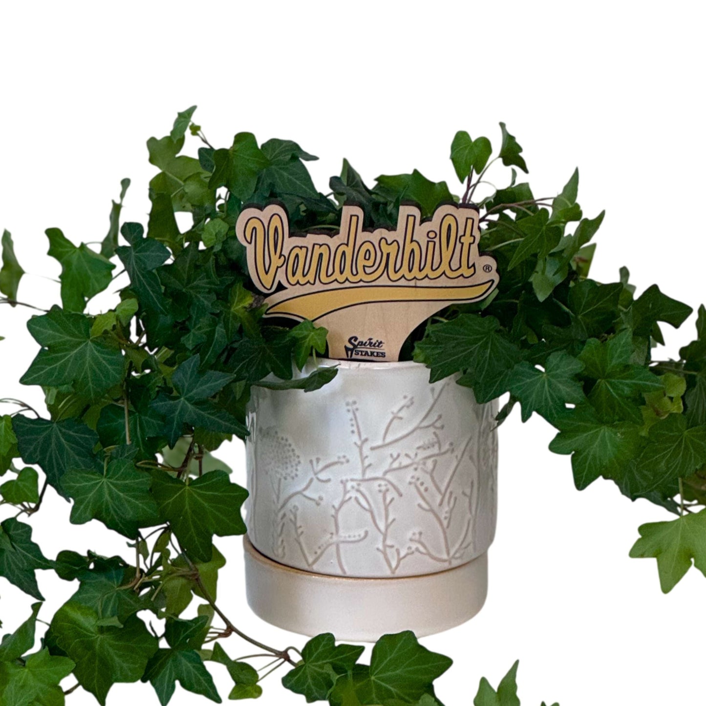 Vanderbilt Script Color Plant Stake