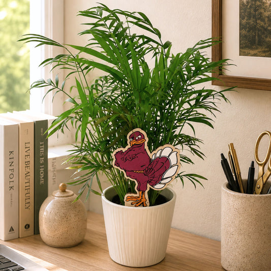 Virginia Tech Standing HokieBird Color Plant Stake