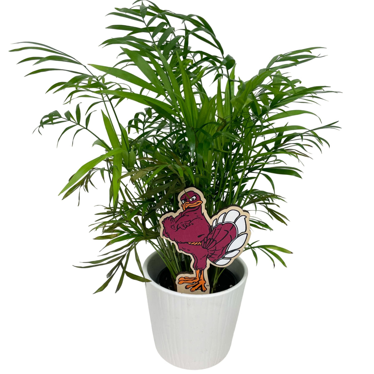 Virginia Tech Standing HokieBird Color Plant Stake