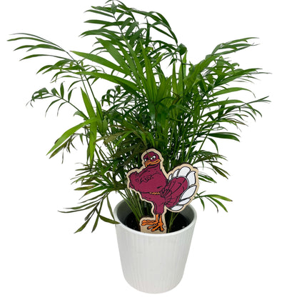 Virginia Tech Standing HokieBird Color Plant Stake