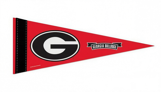 Georgia Bulldogs WinCraft Mini Pennant