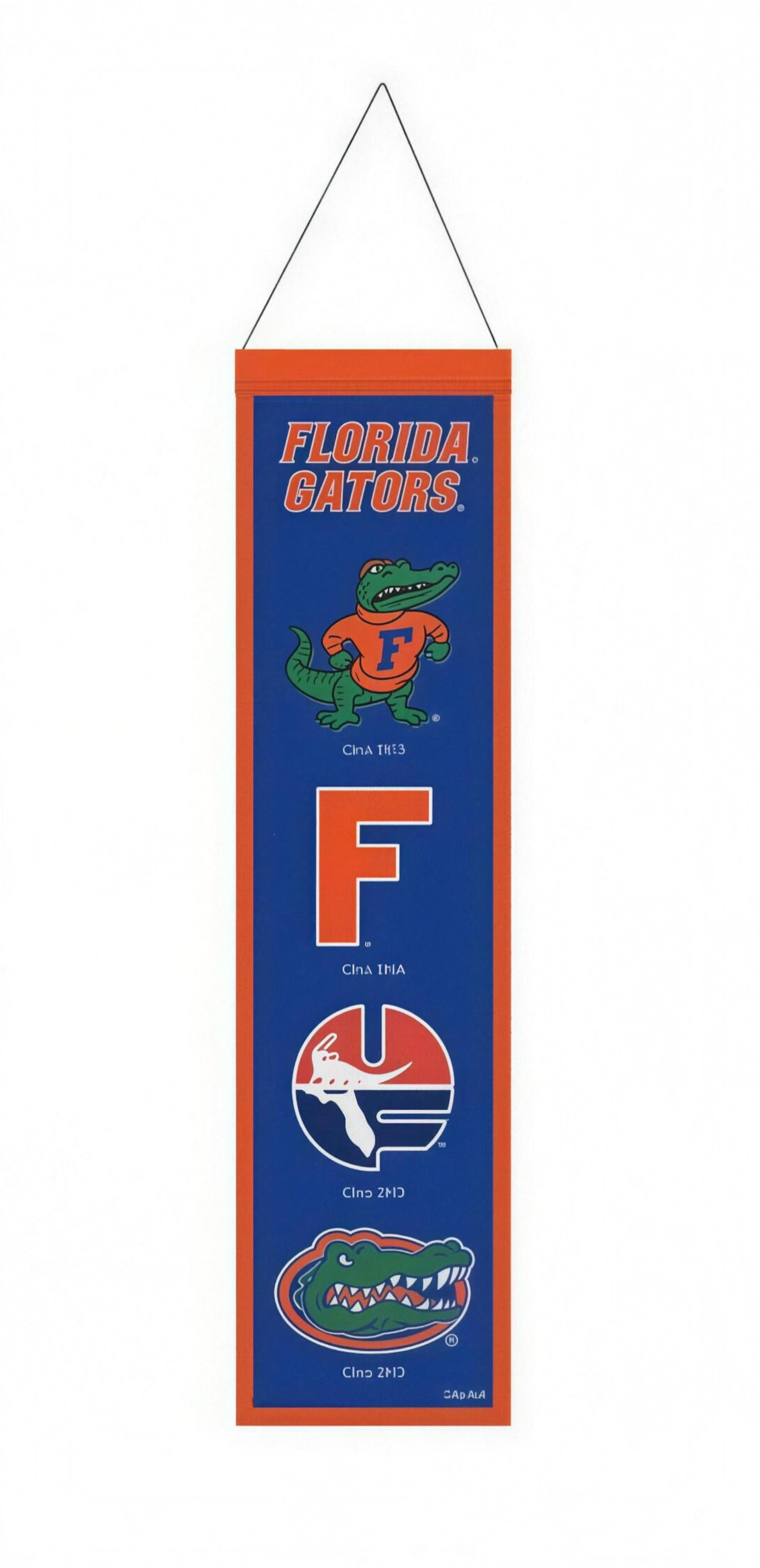 Florida Gators WinCraft College Vault Evolution Wool Banner