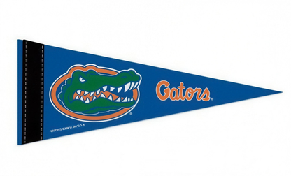 Florida Gators WinCraft Mini Pennant