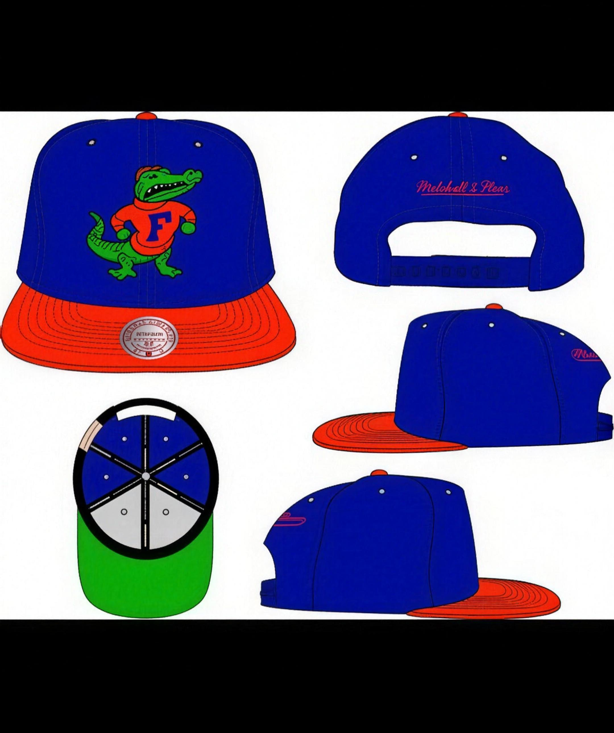 University of Florida Gators Mitchell & Ness Team 2 Tone 2.0 Snapback